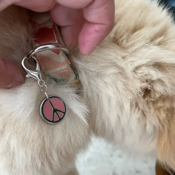 ☮️HOST PICK! Peace pet charm - Picture 5 of 7